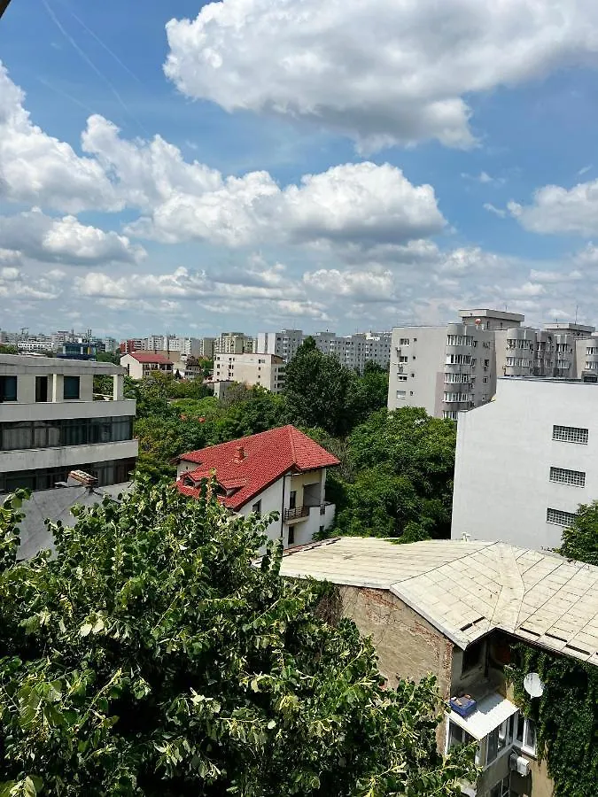 City View - Luxury Apartment - Sanador Victoriei Bukurešť Rumunsko