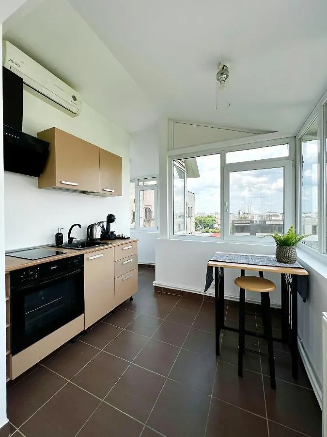 City View - Luxury Apartment - Sanador Victoriei Bukurešť