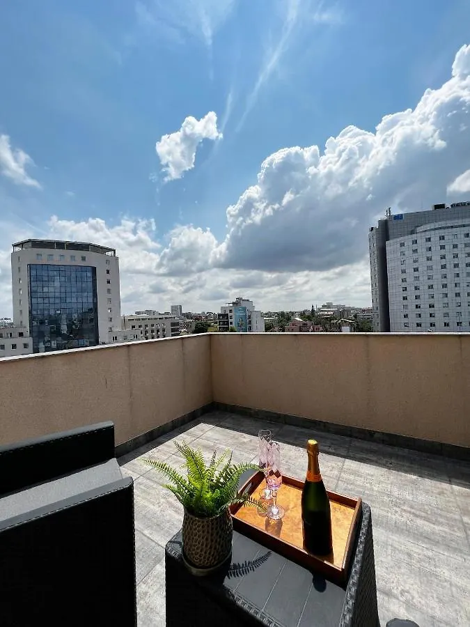 City View - Luxury Apartment - Sanador Victoriei Bukurešť